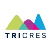 Tricres The Entrepreneurial Journey artwork