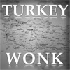 Turkey Wonk artwork