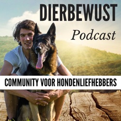 DB 042 - Trainingsvrij Opvoeden van honden met Petra Driesen