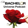 Bachelor Universe artwork