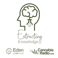 Extracting Knowledge