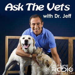 Ask the Vets - Episode 444 April 28, 2024