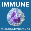 Immune artwork