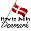 How to Live in Denmark artwork