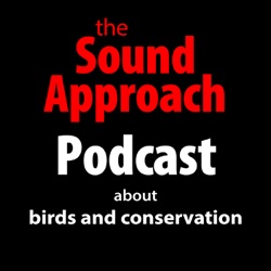 The Sound Approach Podcast about birds and conservation