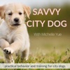 Dog & Puppy Training | Savvy City Dog artwork