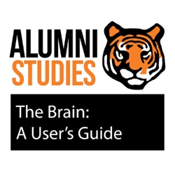 The Brain: A User's Guide