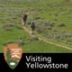 Visiting Yellowstone