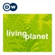 Living Planet - reports | Deutsche Welle