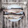 Bioaccumulation artwork