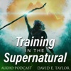 Training in the Supernatural with David E. Taylor artwork