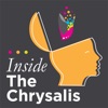 Inside the Chrysalis artwork