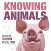 Knowing Animals artwork