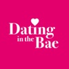 Dating in the Bae artwork