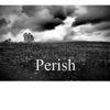 Perish Podcast artwork