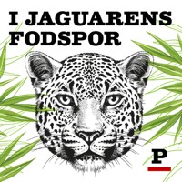 I jaguarens fodspor podcast