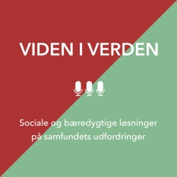 Viden i verden