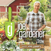 The joe gardener Show - Organic Gardening - Vegetable Gardening - Expert Garden Advice From Joe Lamp'l - Joe Lamp'l