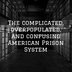 The complicated, overpopulated, and confusing American Prison System