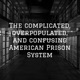 Episode 1- Introduction to the complicated, overpopulated, and confusing American Prison System