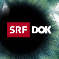 DOK HD podcast