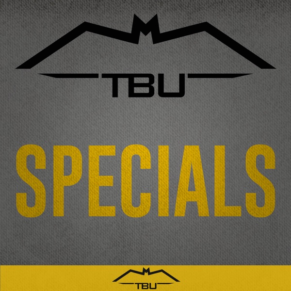 The Batman Universe Specials