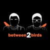 Between Two Birds artwork