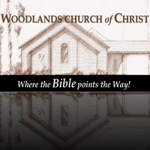 The Church Mission
