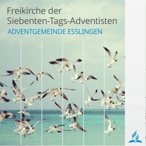08.02.2020 – In der Stille