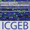 Mouse Genetics 2017 artwork