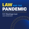 Law And The Pandemic artwork