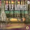 After Midnight: Phish's Big Cypress Festival artwork