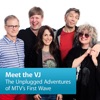 VJ: The Unplugged Adventures of MTV’s First Wave artwork