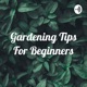 Gardening Tips for Beginners