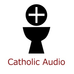 Homily – Fr. Jacinto Chapin – Resolutely Following Christ – 6/30/2019