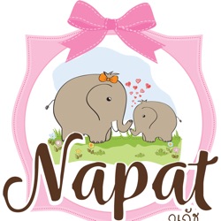 The NapatFamily's Podcast