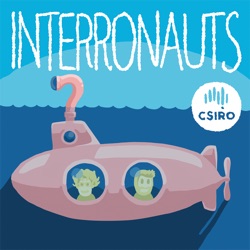 Episode 21: Science of indecision, helping fish with hands, space booty, and a chat with Rich Pillans, giant sawfish conservationist