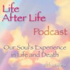 Life After Life Podcast - Our Soul's Experience in Life and Death artwork