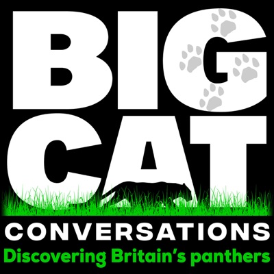 Big Cat Conversations Big Cat Conversations