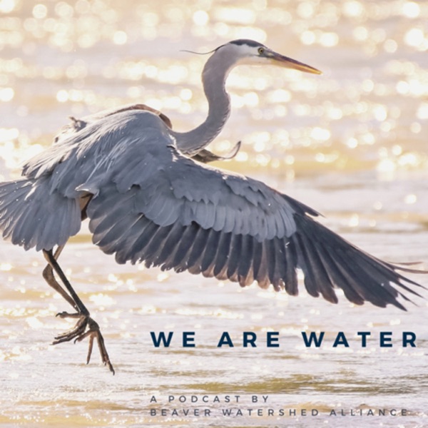We Are Water Artwork