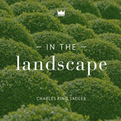 In the Landscape In the Landscape