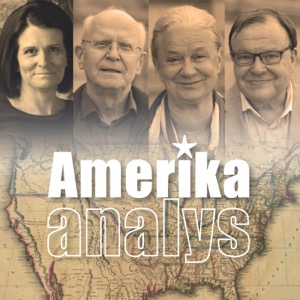 Amerikaanalys