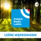 Leśne wędrowanie w Radiu Lublin
