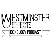 153 - Seeker's Progress w/ Rob McKenzie