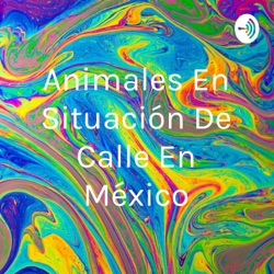 Animales En Situación De Calle En México