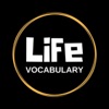 Life Vocabulary by Serena Hussain artwork