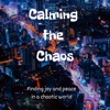Calming the Chaos artwork