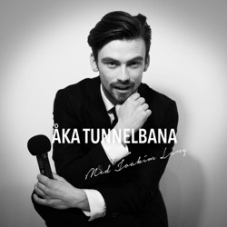 Åka tunnelbana