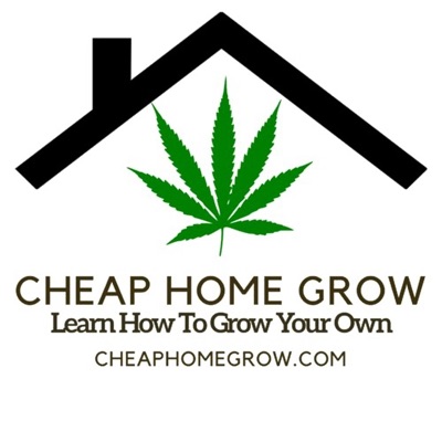 Cheap Home Grow - Learn How To Grow Cannabis Indoors Podcast Cheap Home Grow - Learn How To Grow Cannabis Indoors Podcast