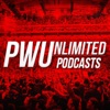 Pro Wrestling Unlimited artwork